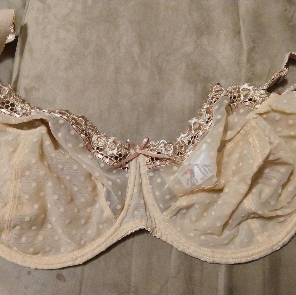 Curvy Kate 38h bra